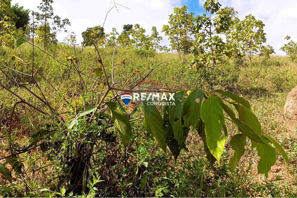 Chácara / Sítio / Fazenda - Venda - Conceição de Ipanema , Minas Gerais - 7_image_7_watermark_sáb._12042025_141924.jpg - 870451013-61