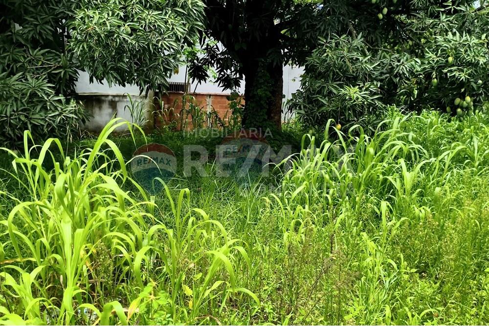 Terreno - Venda - Ipanema , Minas Gerais - 4_image_4_watermark_sex._19122025_100451.jpg - 870451004-112
