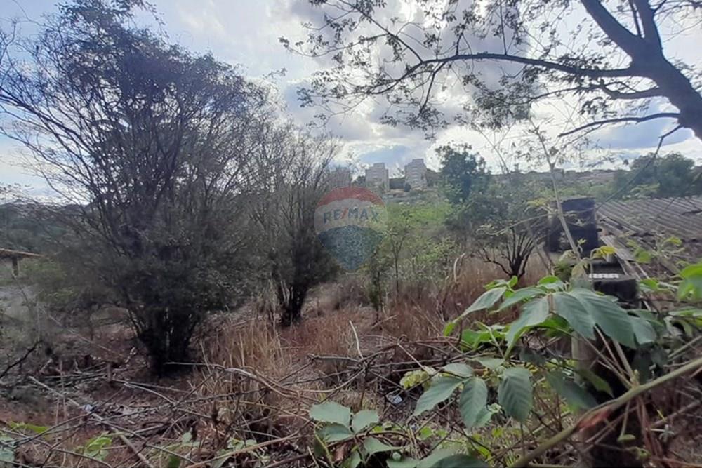 Terreno - Venda - Lagoa Santa , Minas Gerais - FOTO3.jpg - Layout aberto - 870421119-44