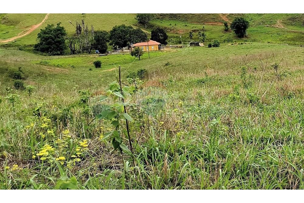 Chácara / Sítio / Fazenda - Venda - Ipanema , Minas Gerais - 1_image_1_watermark_qui._20112025_124801.jpg - 870451013-80