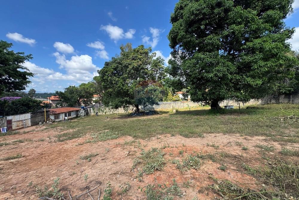 Terreno - Venda - Belo Horizonte , Minas Gerais - IMG_9688.JPG - 870411141-20