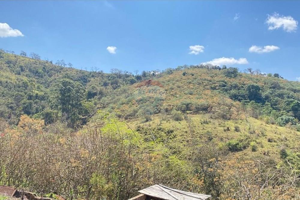 Chácara / Sítio / Fazenda - Venda - Casa Grande , Minas Gerais - WhatsApp Image 2025-11-10 at 11.27.34 (1).jpeg - 870411117-20