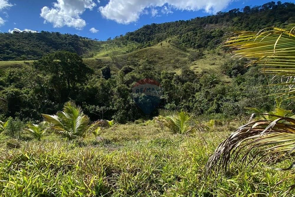 Chácara / Sítio / Fazenda - Venda - Ipatinga , Minas Gerais - WhatsApp Image 2025-10-09 at 17.37.00.jpeg - 870711007-44