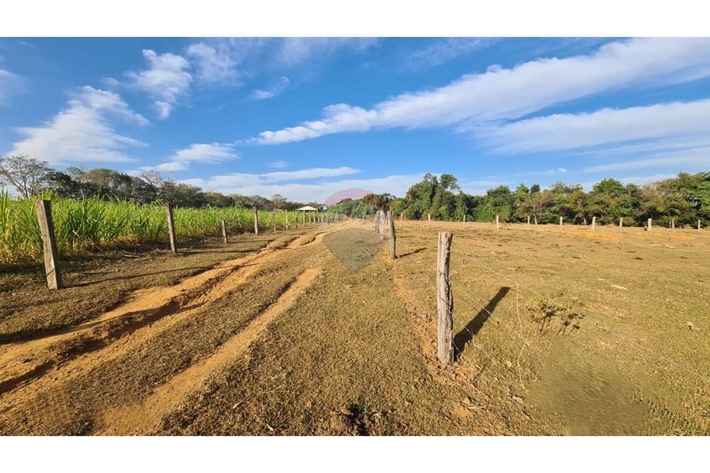Chácara / Sítio / Fazenda - Venda - Uberaba , Minas Gerais - 40 Fazenda Venda R$ 6.500.000 em Uberaba na Remax 870291025-115.jpeg - 870291025-115