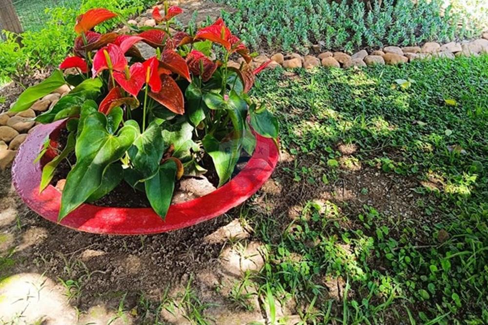 Terreno - Venda - Brumadinho , Minas Gerais - WhatsApp Image 2025-11-20 at 10.07.24.jpeg - 870421014-361