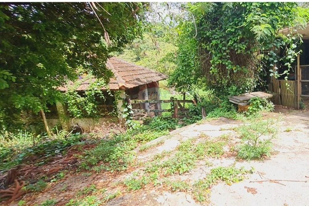 Fazenda - Venda - Pedro Leopoldo , Minas Gerais - foto 49.jpeg - 870411117-34