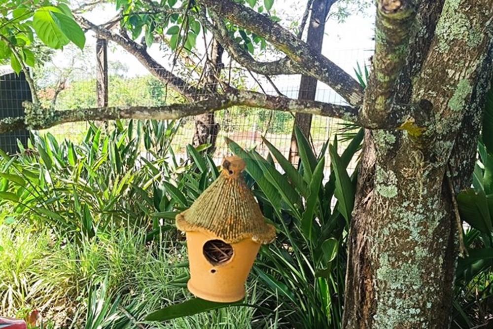 Terreno - Venda - Brumadinho , Minas Gerais - WhatsApp Image 2025-11-20 at 10.07.24 (1).jpeg - 870421014-362