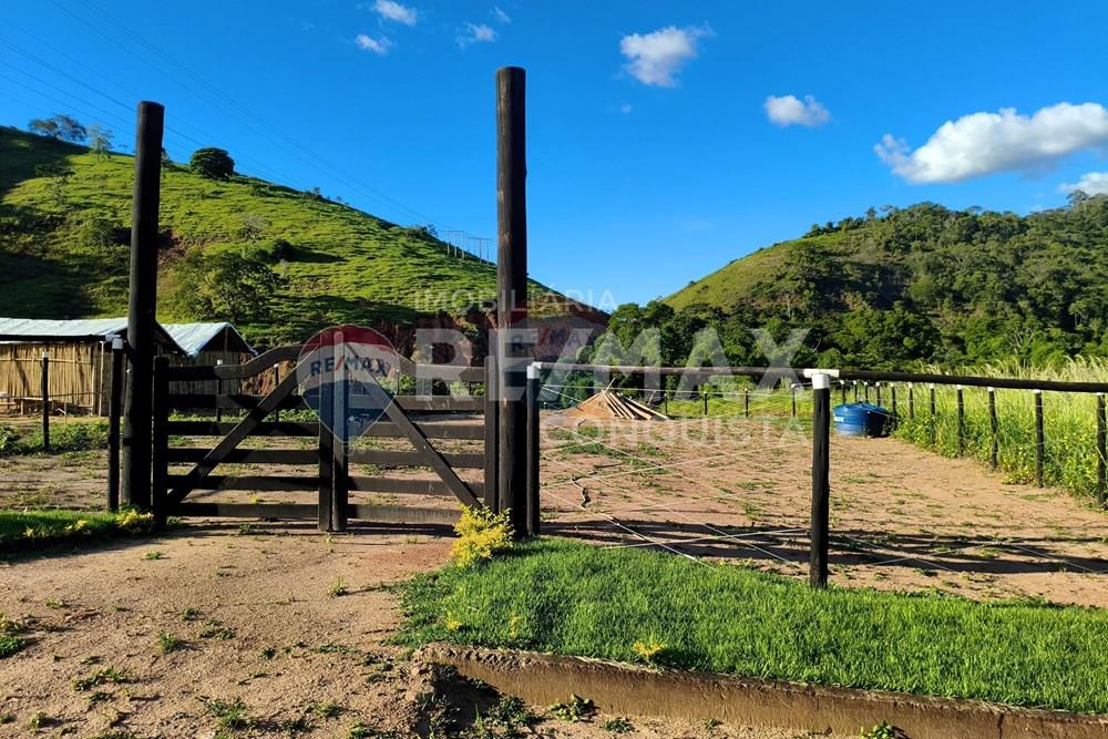 Chácara / Sítio / Fazenda - Venda - Conceição de Ipanema , Minas Gerais - 4_image_4_watermark_dom._11012026_131659.jpg - 870451004-113