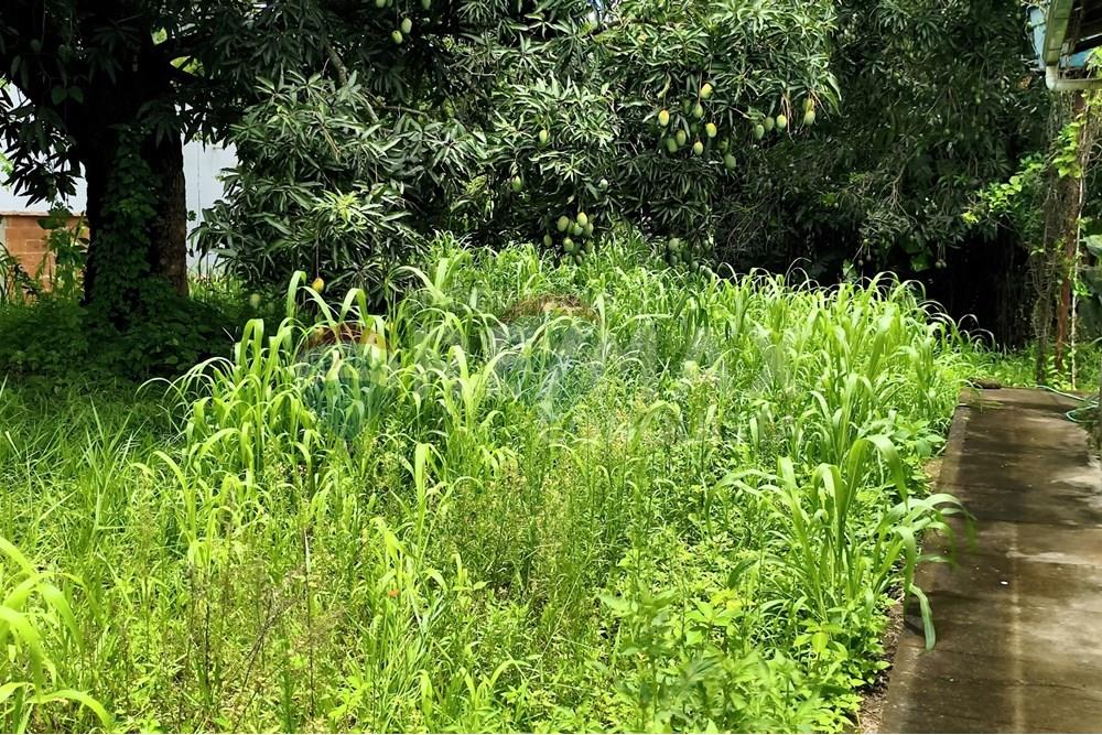 Terreno - Venda - Ipanema , Minas Gerais - 3_image_3_watermark_sex._19122025_100450.jpg - 870451004-112