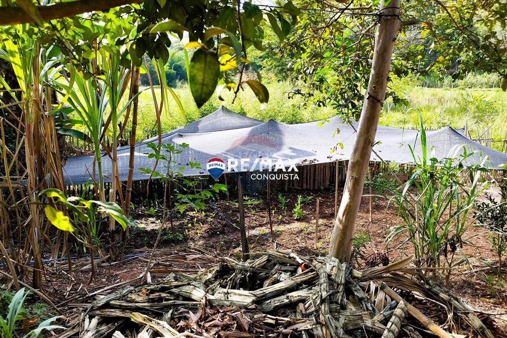 Chácara / Sítio / Fazenda - Venda - Ipanema , Minas Gerais - 3_pro-xTZhn402_watermark_dom._23062024_093012.jpg - 870451004-116