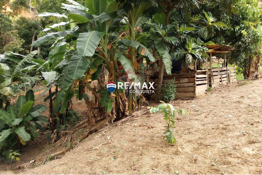 Chácara / Sítio / Fazenda - Venda - Ipanema , Minas Gerais - 9_image_9_watermark_seg._12052025_100738.jpg - 870451004-100