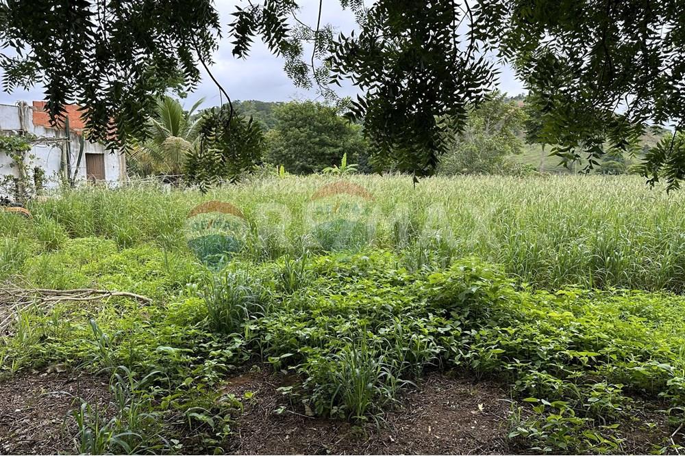 Chácara / Sítio / Fazenda - Venda - Ipanema , Minas Gerais - 3_image_3_watermark_ter._23122025_141301.jpg - 870451001-159