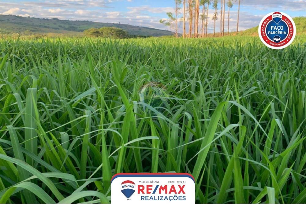 Gyvenamasis - Ferma - Patos de Minas , Minas Gerais - BR - 15.jpg - 870631011-31