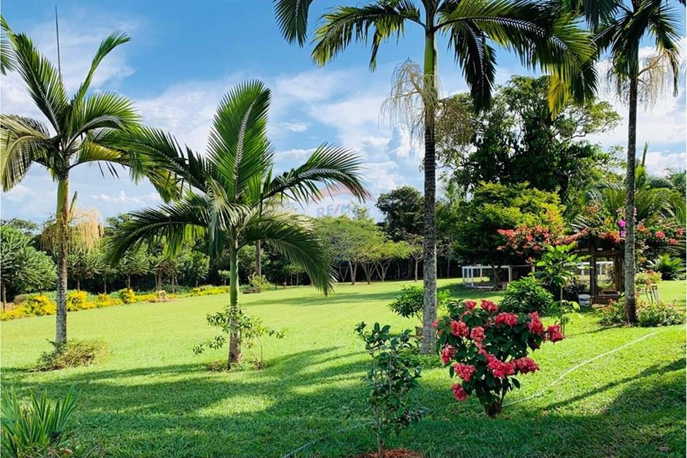 Chácara / Sítio / Fazenda - Venda - Delfinópolis , Minas Gerais - IMG-20250623-WA0030.jpg - 870721005-35