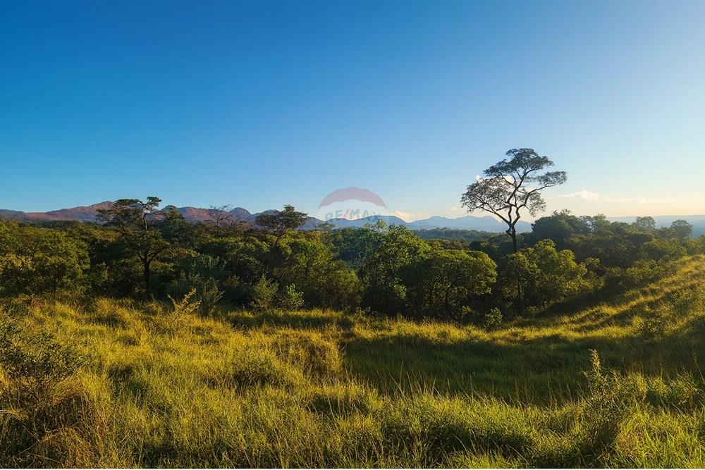 Chácara / Sítio / Fazenda - Venda - Ibirité , Minas Gerais - 75cb73c2-9aa9-457f-b856-f4b715fc3929.jpeg - 870241024-77