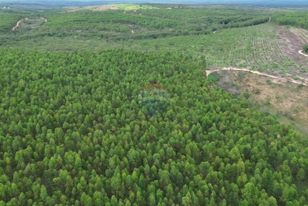 Fazenda - Venda - Inimutaba , Minas Gerais - Imagem instantânea 2.jpg - 870411101-21