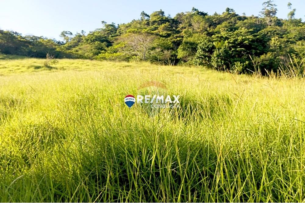 Chácara / Sítio / Fazenda - Venda - Pocrane , Minas Gerais - WhatsApp Image 2025-04-08 at 09.40.28(1).jpeg - 870451001-124