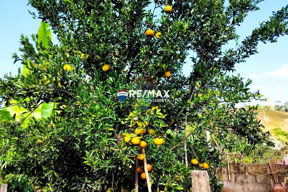 Chácara / Sítio / Fazenda - Venda - Ipanema , Minas Gerais - 8_pro-BPF1egQG_watermark_dom._23062024_093226.jpg - 870451004-116