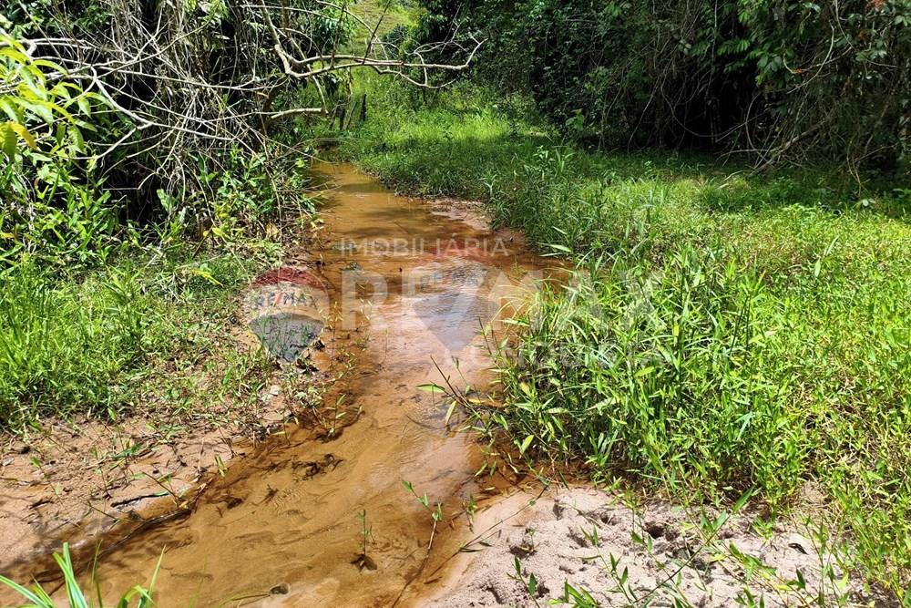 Chácara / Sítio / Fazenda - Venda - Taparuba , Minas Gerais - 8_image_8_watermark_ter._17022026_130735.jpg - 870451001-165