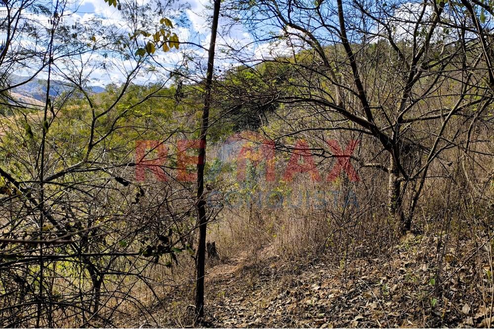 Chácara / Sítio / Fazenda - Venda - Ipanema , Minas Gerais - 0_image_0_watermark_seg._15092025_150710.jpg - 870451013-72