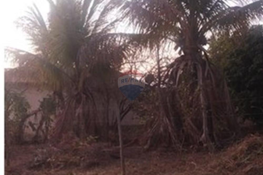 Terreno - Venda - Felixlândia , Minas Gerais - WhatsApp Image 2026-03-17 at 11.35.09.jpeg - 870411117-45