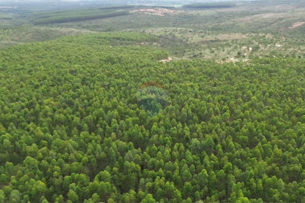 Fazenda - Venda - Inimutaba , Minas Gerais - Imagem instantânea 3.jpg - 870411101-21