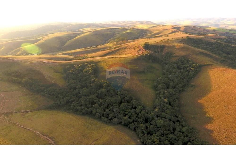 Fazenda - Venda - São Roque de Minas , Minas Gerais - DJI_0040.JPG - 870431039-50