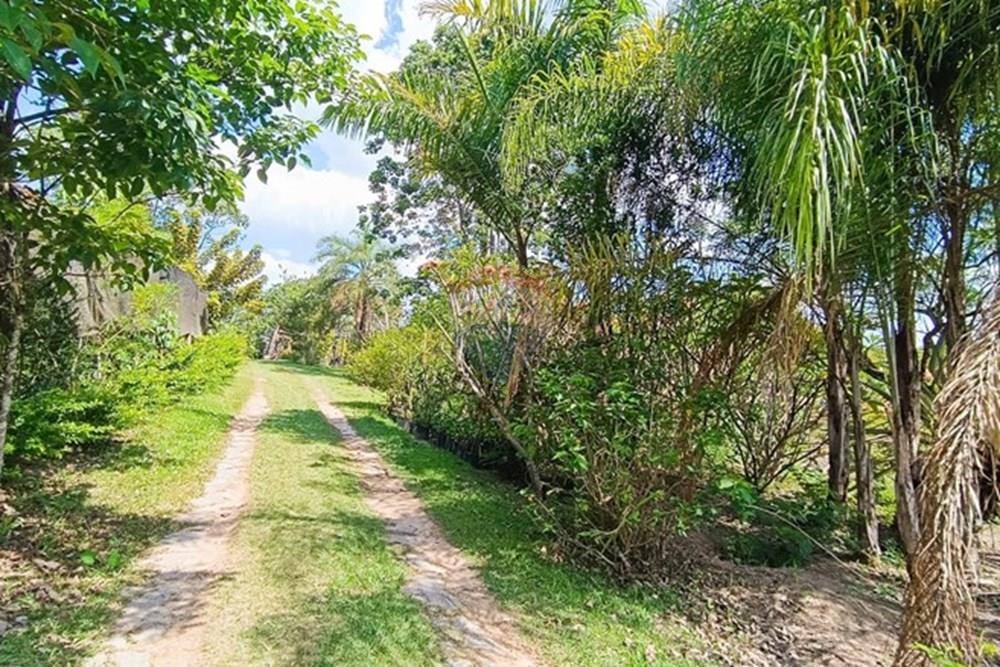 Terreno - Venda - Brumadinho , Minas Gerais - WhatsApp Image 2025-11-20 at 10.07.28 (2).jpeg - 870421014-352