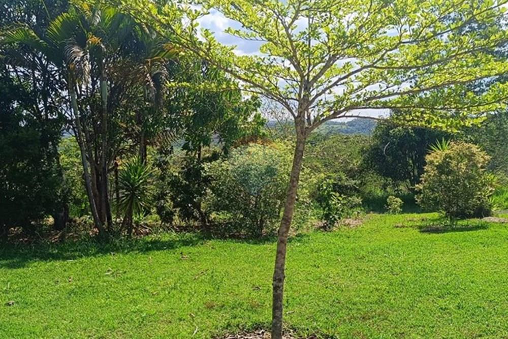 Terreno - Venda - Brumadinho , Minas Gerais - WhatsApp Image 2025-11-20 at 10.06.51.jpeg - 870421014-349