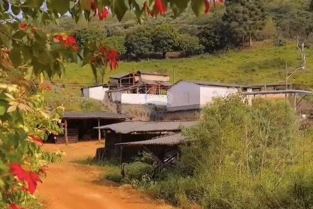 Chácara / Sítio / Fazenda - Venda - Casa Grande , Minas Gerais - d0f121d8-807f-419d-aa68-2d1cdf5eda4b.jpeg - 870411117-20
