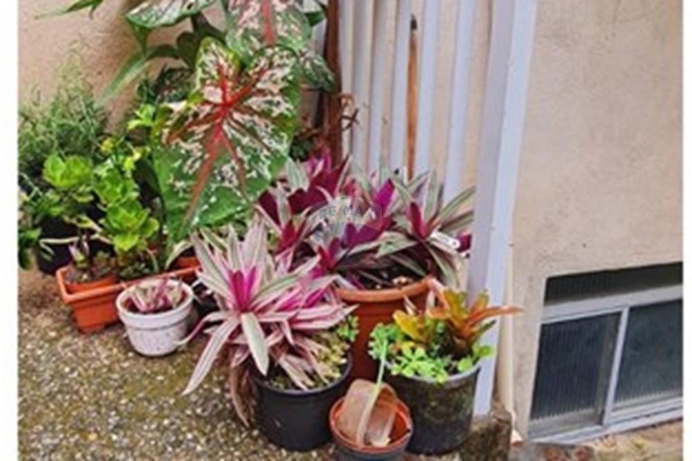 Casa - Venda - Belo Horizonte , Minas Gerais - WhatsApp Image 2025-12-18 at 14.32.52.jpeg - 870411117-38