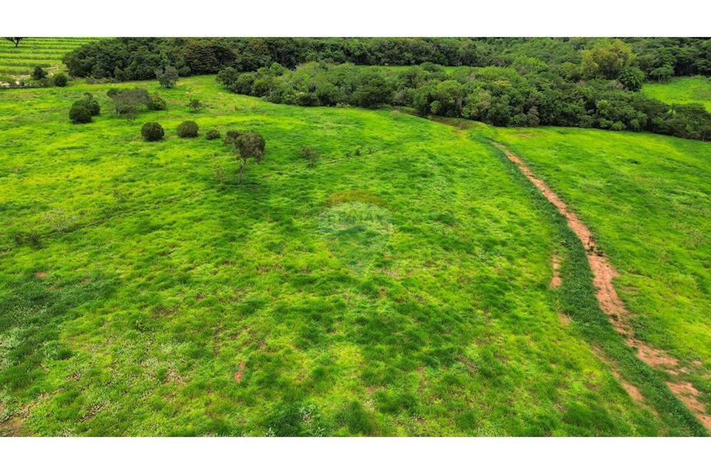 Chácara / Sítio / Fazenda - Venda - São Sebastião do Paraíso , Minas Gerais - SITIO ROMULO BICEGO (13).jpeg - 870811007-131