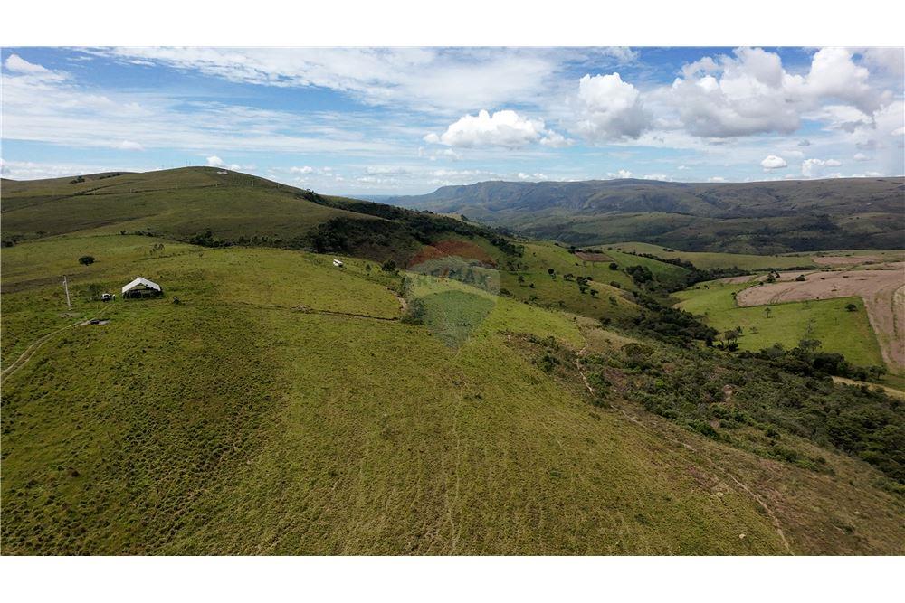 Fazenda - Venda - São Roque de Minas , Minas Gerais - 17 - 870431039-47