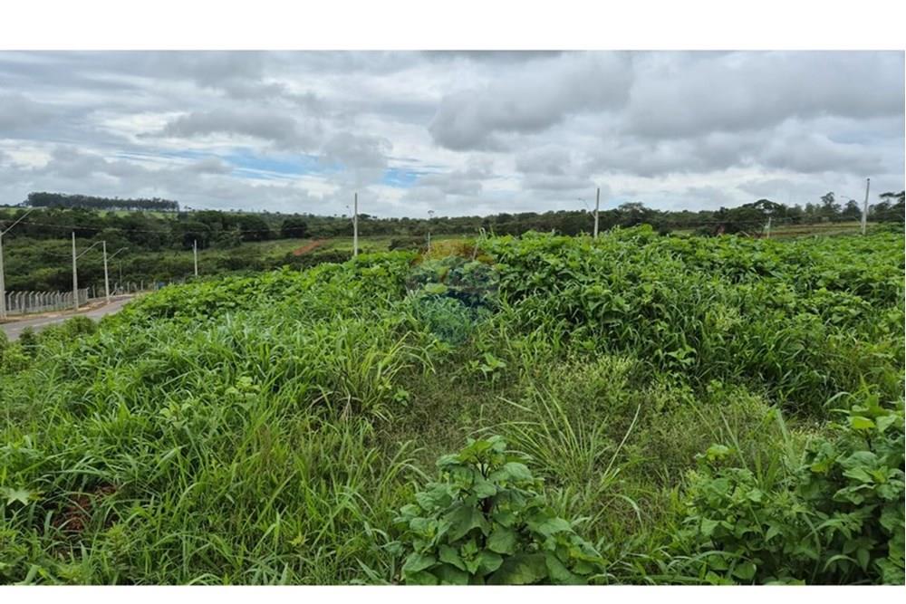 Terreno - Venda - Araxá , Minas Gerais - RODRIGO 3.jpeg - 870431054-10