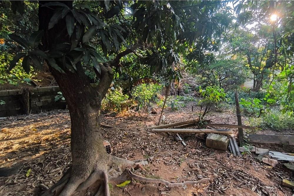 Terreno - Venda - Ibirité , Minas Gerais - 1744312819480.jpg - 870421081-6