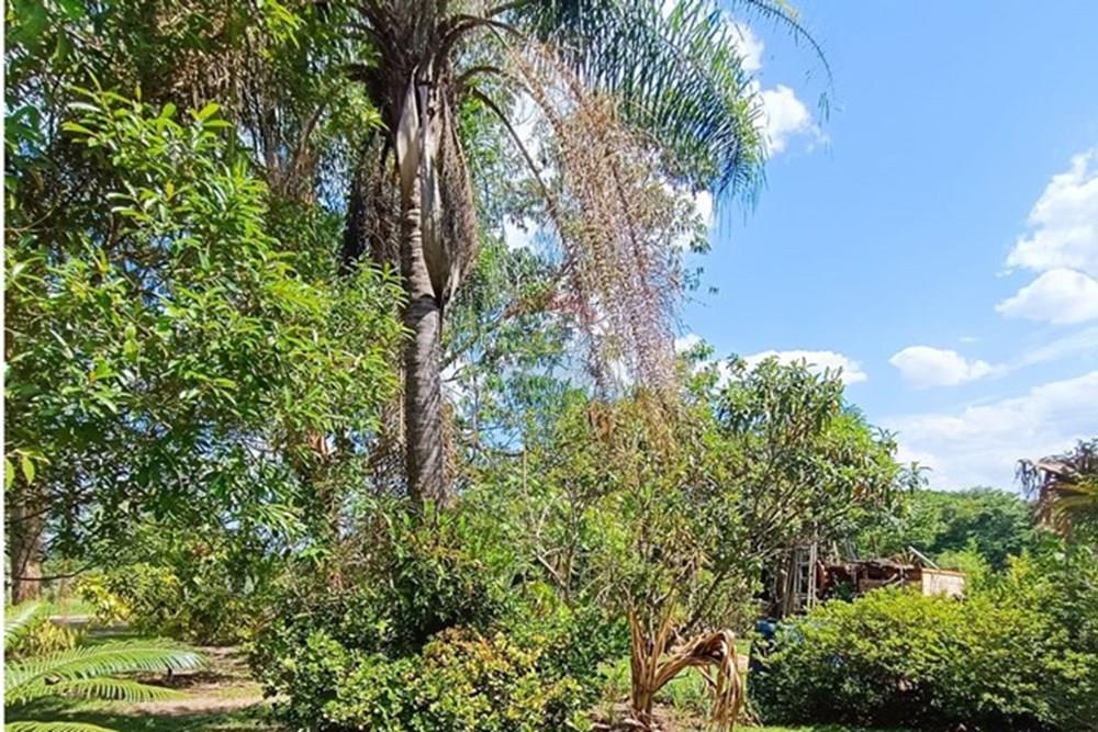 Terreno - Venda - Brumadinho , Minas Gerais - WhatsApp Image 2025-11-20 at 10.07.26 (1).jpeg - 870421014-353