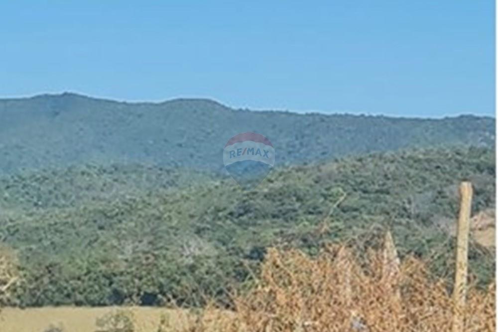 Chácara / Sítio / Fazenda - Venda - Casa Grande , Minas Gerais - foto 14.jpeg - 870411117-20