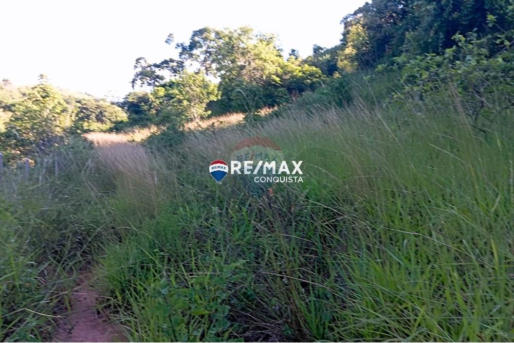 Chácara / Sítio / Fazenda - Venda - Pocrane , Minas Gerais - WhatsApp Image 2025-04-08 at 09.40.30(1).jpeg - 870451001-124