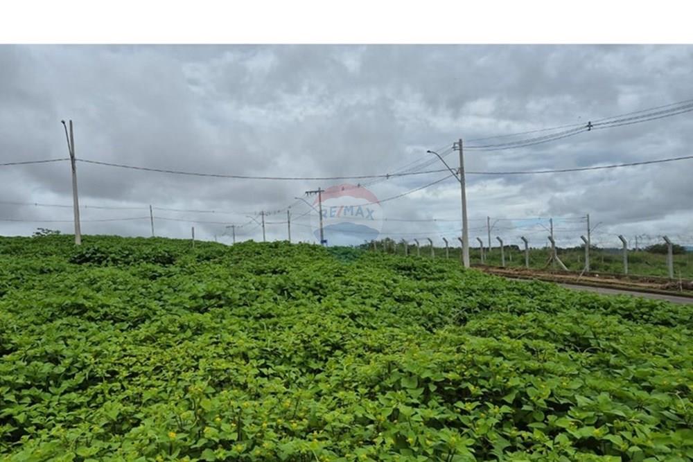 Terreno - Venda - Araxá , Minas Gerais - RODRIGO 8.jpeg - 870431054-10