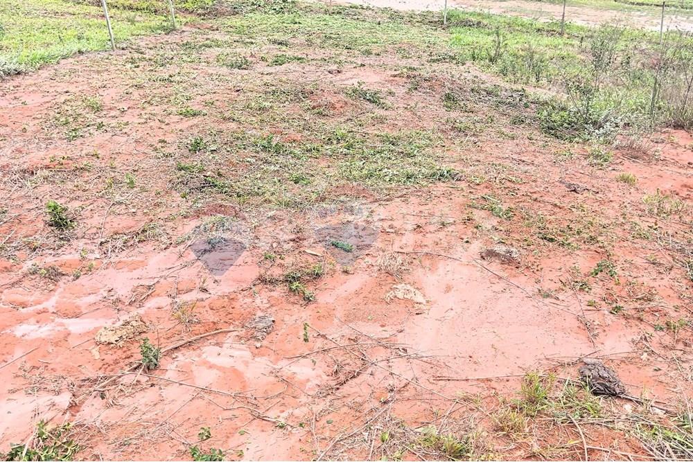 Terreno - Venda - Ipanema , Minas Gerais - 5_image_5_watermark_seg._03112025_103329.jpg - 870451013-77