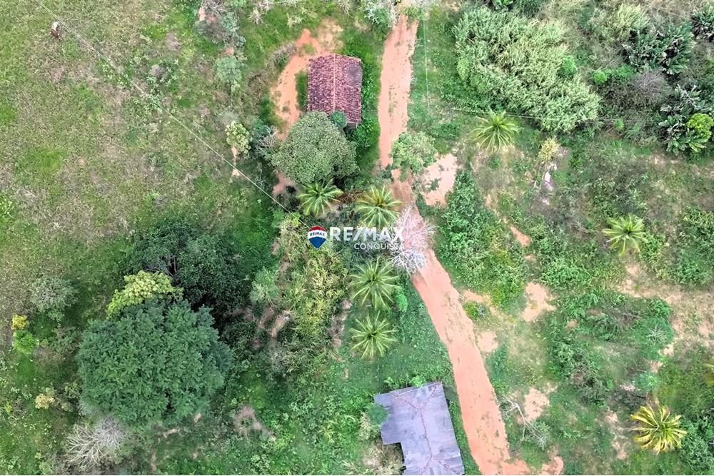 Chácara / Sítio / Fazenda - Venda - Ipanema , Minas Gerais - 6_image_6_watermark_dom._01062025_173959.jpg - 870451001-156