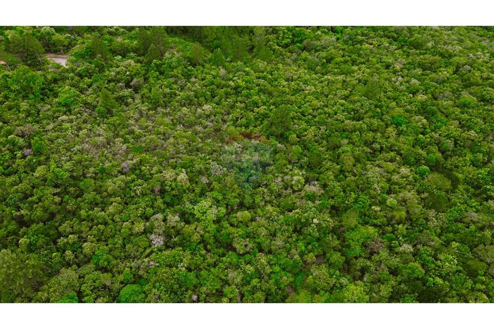 Terreno - Venda - Brumadinho , Minas Gerais - 24.jpg - 870241100-81