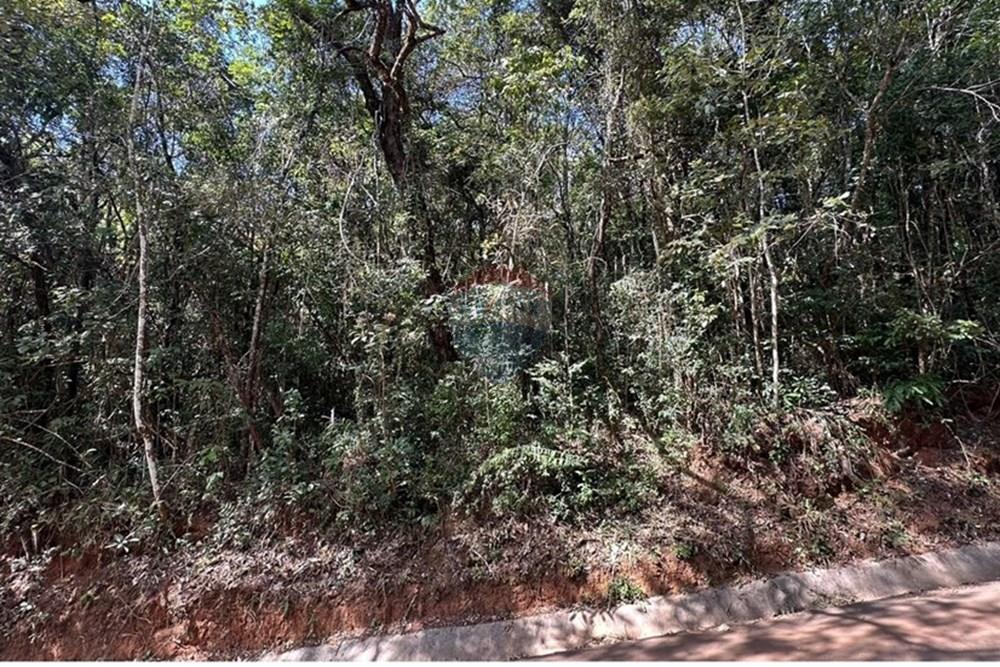 Terreno - Venda - Nova Lima , Minas Gerais - WhatsApp Image 2025-07-24 at 10.47.24 (1).jpeg - 870351032-18