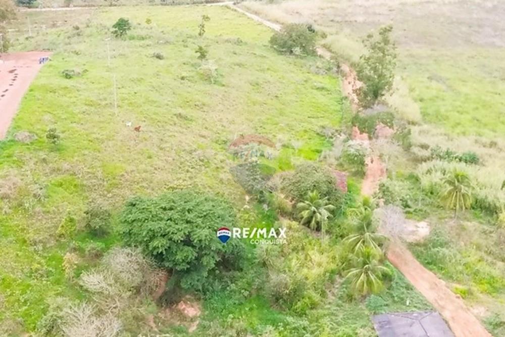 Chácara / Sítio / Fazenda - Venda - Ipanema , Minas Gerais - 4_image_4_watermark_dom._01062025_173958.jpg - 870451001-156