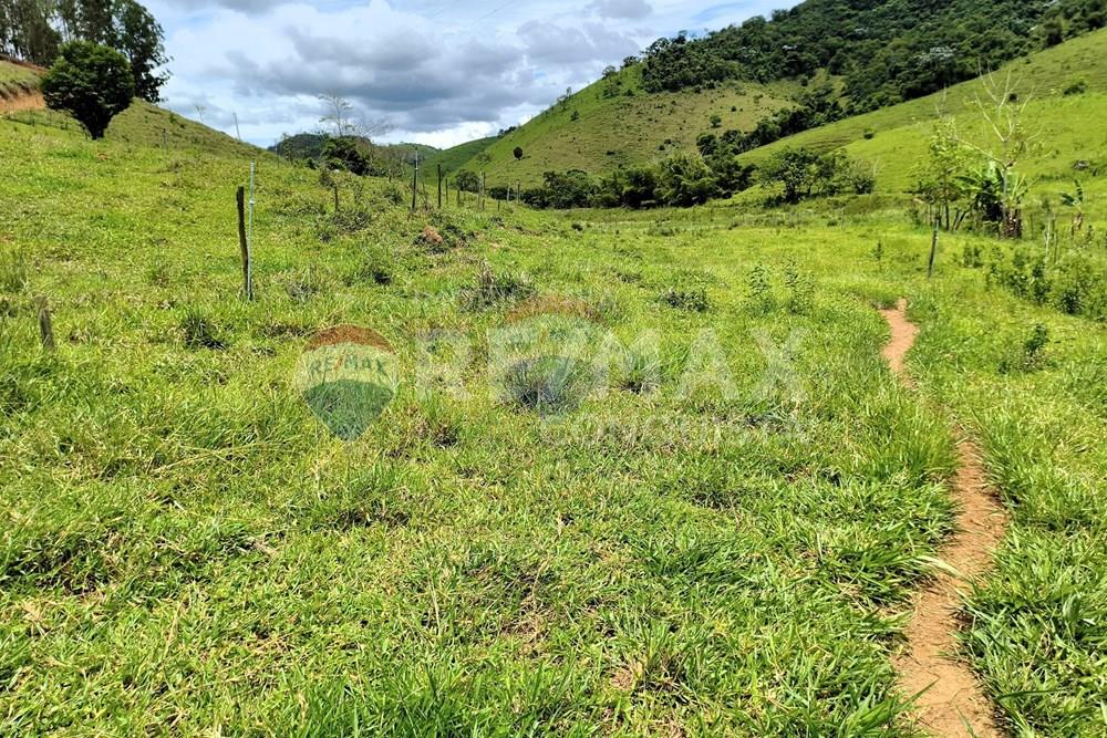 Chácara / Sítio / Fazenda - Venda - Taparuba , Minas Gerais - 3_image_3_watermark_ter._17022026_130556.jpg - 870451001-165