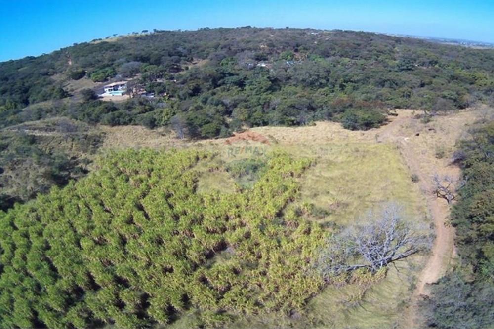 Chácara / Sítio / Fazenda - Venda - Matozinhos , Minas Gerais - WhatsApp Image 2025-09-28 at 18.52.33.jpeg - 870411101-11