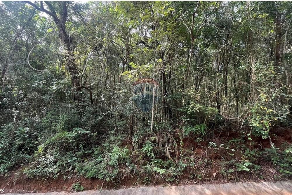 Terreno - Venda - Nova Lima , Minas Gerais - WhatsApp Image 2025-07-24 at 10.49.36.jpeg - 870351032-18