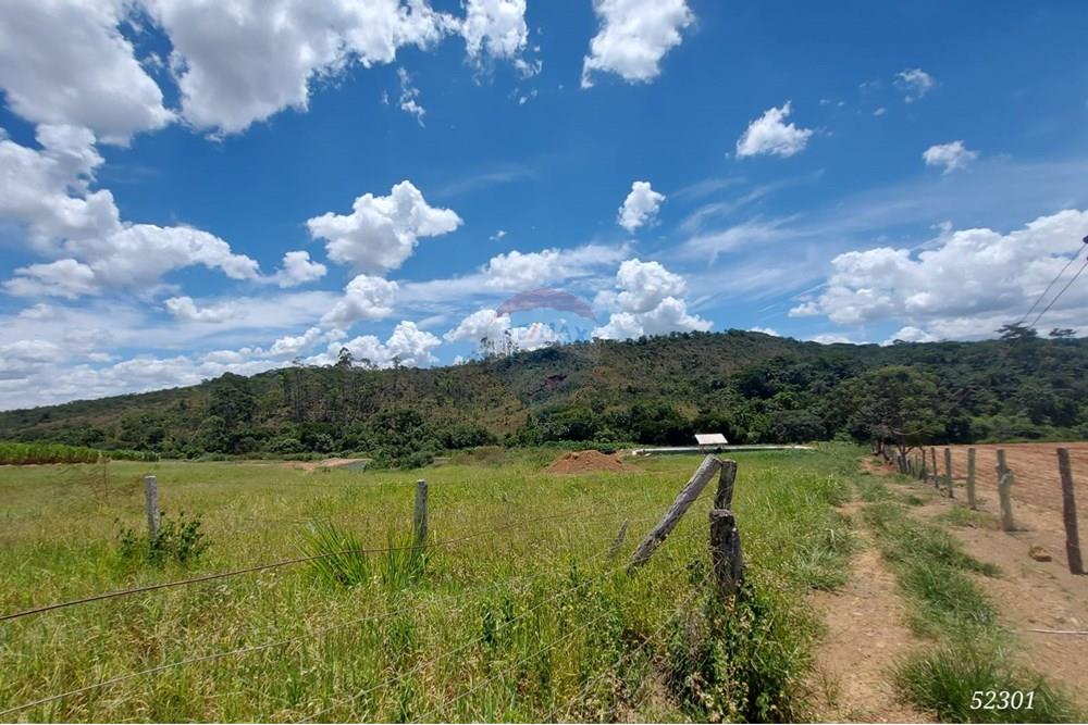 Chácara / Sítio / Fazenda - Venda - Perdizes , Minas Gerais - WhatsApp Image 2025-02-25 at 19.55.17.jpeg - 870431028-37