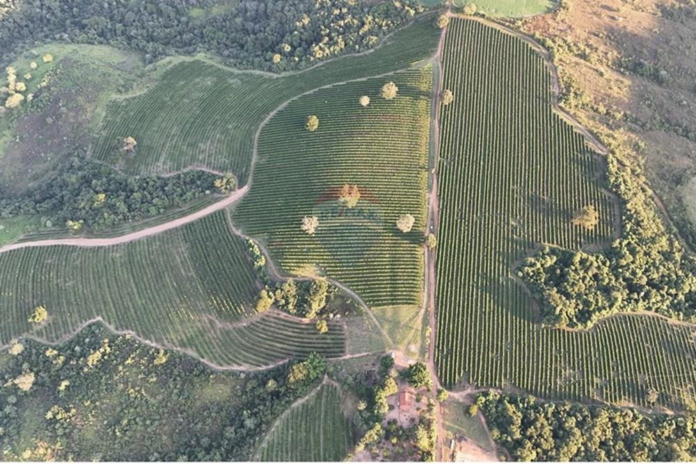 Fazenda - Venda - Ibiá , Minas Gerais - WhatsApp Image 2025-07-07 at 16.23.48.jpeg - 870431012-52