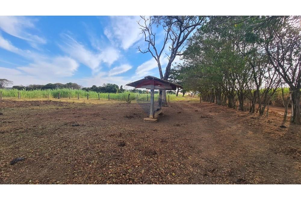 Chácara / Sítio / Fazenda - Venda - Uberaba , Minas Gerais - 15 Fazenda Venda R$ 6.500.000 em Uberaba na Remax 870291025-115.jpeg - 870291025-115